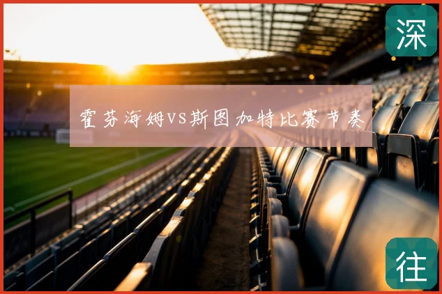 霍芬海姆vs斯图加特比赛节奏